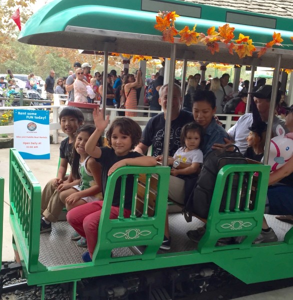 Train wide with school friends at the Pumpkin Patch.