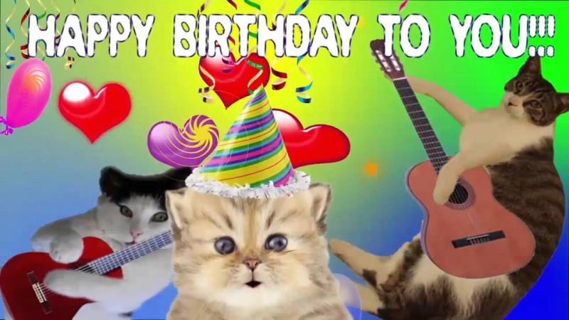 Cute-Cat-Happy-Birthday.-6